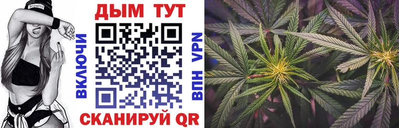 Бошки Шишки VHQ  закладки  Чусовой 